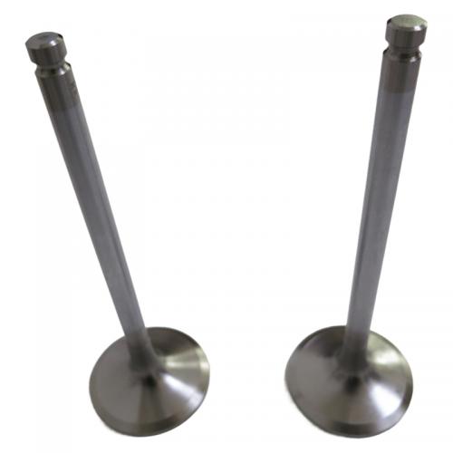 engine part Intake Valve D04-110-33 