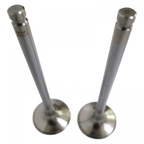 engine part Exhaust Valve D04-111-31